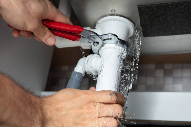Best Professional water damage repair  in Rock Hill, SC