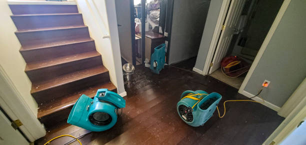 Best Water damage restoration services  in Rock Hill, SC