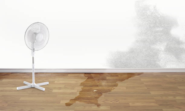 Professional Water damage restoration in SC
