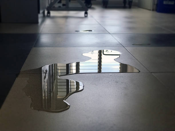 Best Water damage restoration near me  in Rock Hill, SC