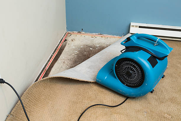 Best Local water damage restoration  in Rock Hill, SC